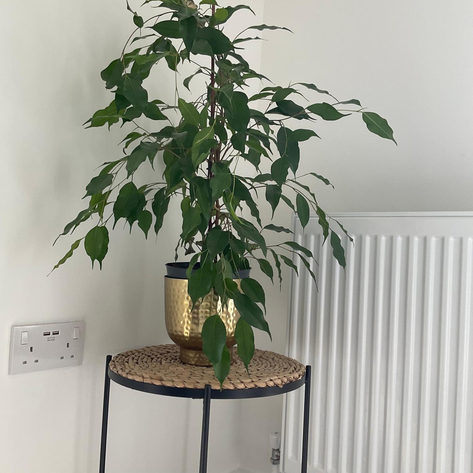 The Parkes A Stylish 3br House, 5 Mins From Close To The Edgbaston Stadium, The Hippodrome, Uob, Aston And Bcu, China Town, Kings Heath Bhx Airport And Much * Birmingham